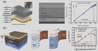 Figure 6 | Linear dynamic range examples